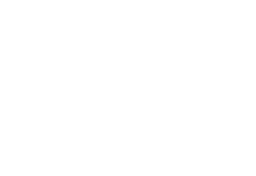 Steiner Logo-web-white